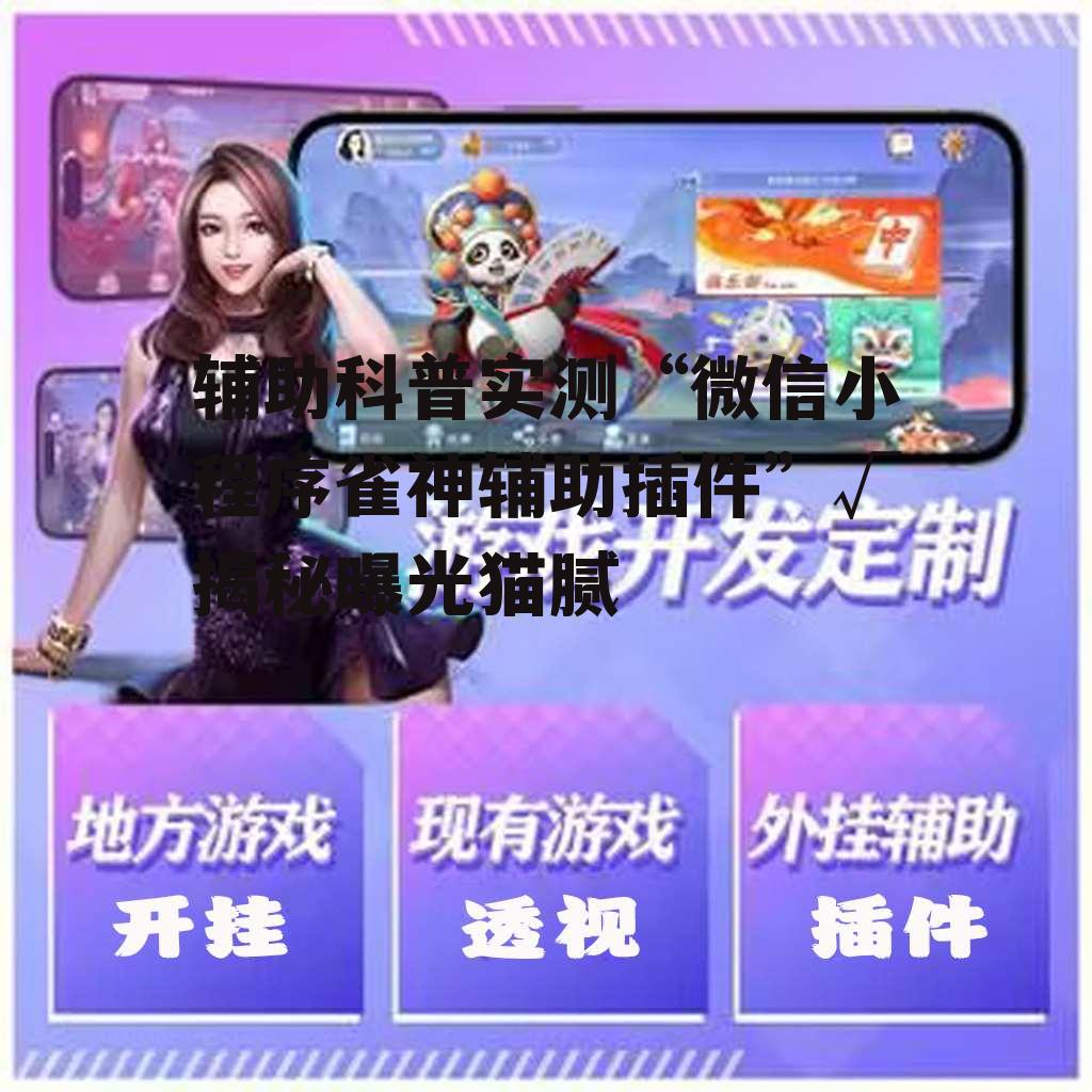 辅助科普实测“微信小程序雀神辅助插件”√揭秘曝光猫腻 p2