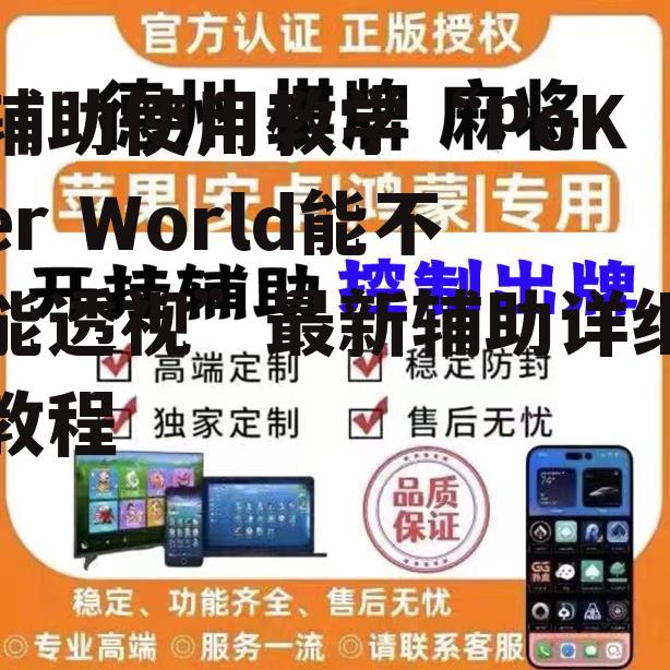 辅助使用教学“PoKer World能不能透视”最新辅助详细教程 p2