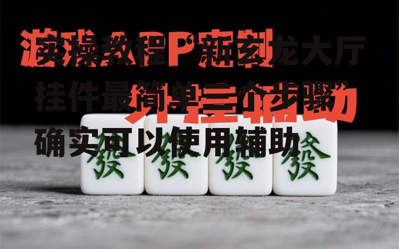 实操教程“新玄龙大厅挂件最简单三个步骤”确实可以使用辅助 p1