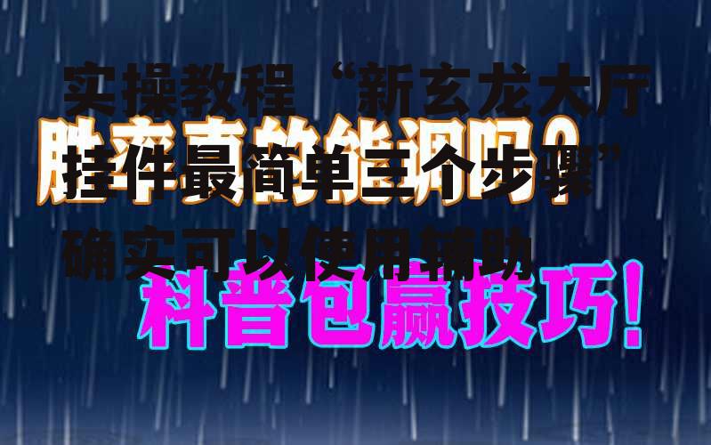 实操教程“新玄龙大厅挂件最简单三个步骤”确实可以使用辅助 p3