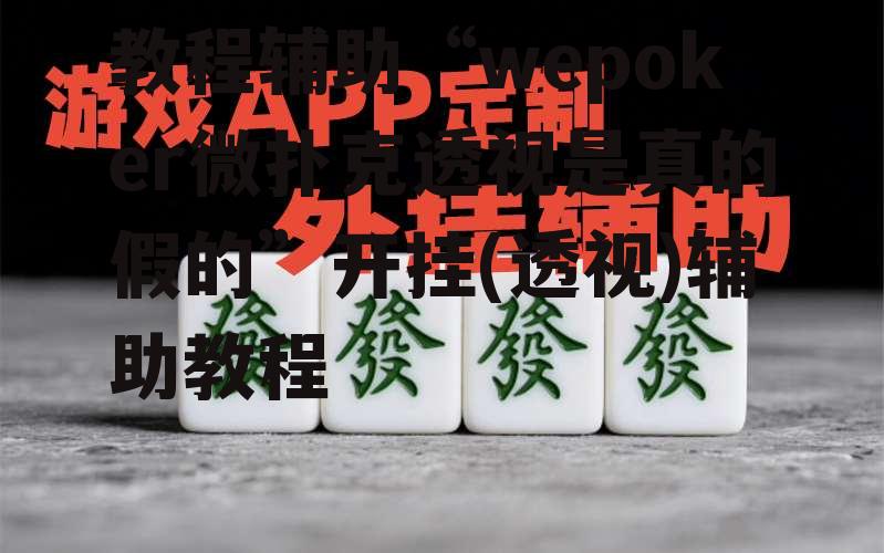 教程辅助“wepoker微扑克透视是真的假的”开挂(透视)辅助教程 p2