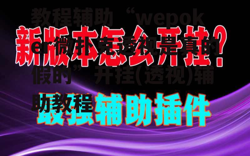 教程辅助“wepoker微扑克透视是真的假的”开挂(透视)辅助教程 p3