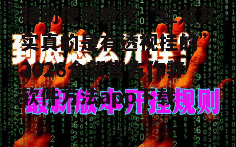 辅助使用教学“红龙其实真的是有透视挂的”2026全新官方作弊软件方法app下载 p1