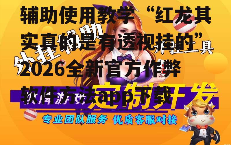 辅助使用教学“红龙其实真的是有透视挂的”2026全新官方作弊软件方法app下载 p2