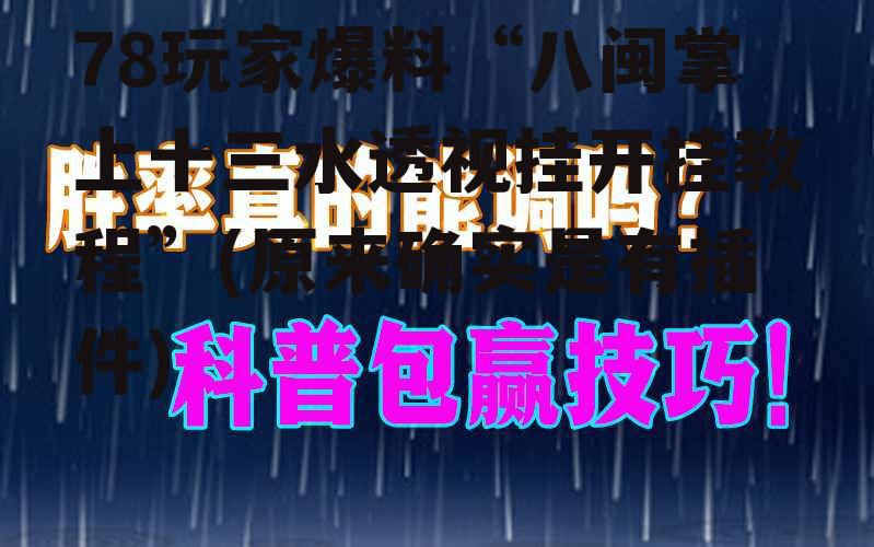78玩家爆料“八闽掌上十三水透视挂开挂教程”(原来确实是有插件) p3