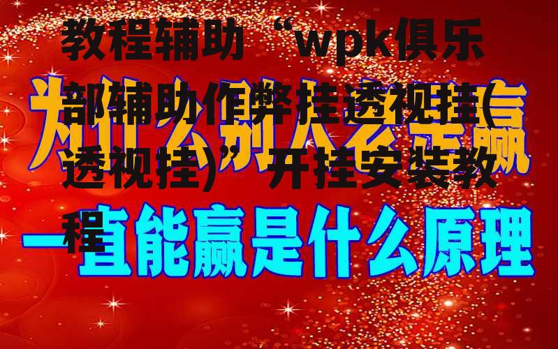 教程辅助“wpk俱乐部辅助作弊挂透视挂(透视挂)”开挂安装教程 p3