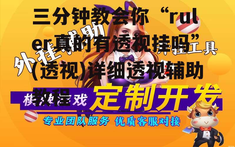 三分钟教会你“ruler真的有透视挂吗”(透视)详细透视辅助教程 p2