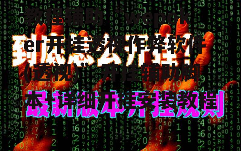 教程辅助“wepoker开挂透视作弊软件(透视)”开挂辅助脚本+详细开挂安装教程 p2