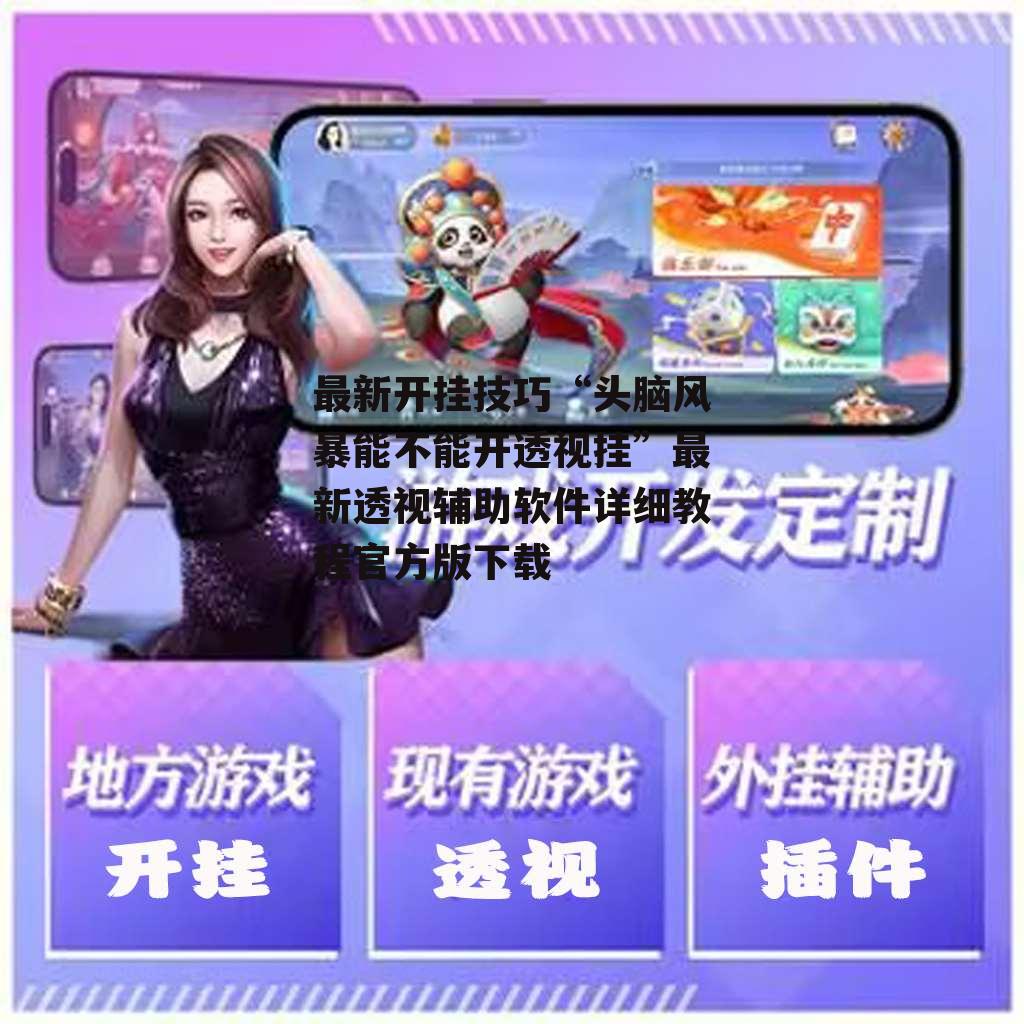 最新开挂技巧“头脑风暴能不能开透视挂”最新透视辅助软件详细教程官方版下载 p3